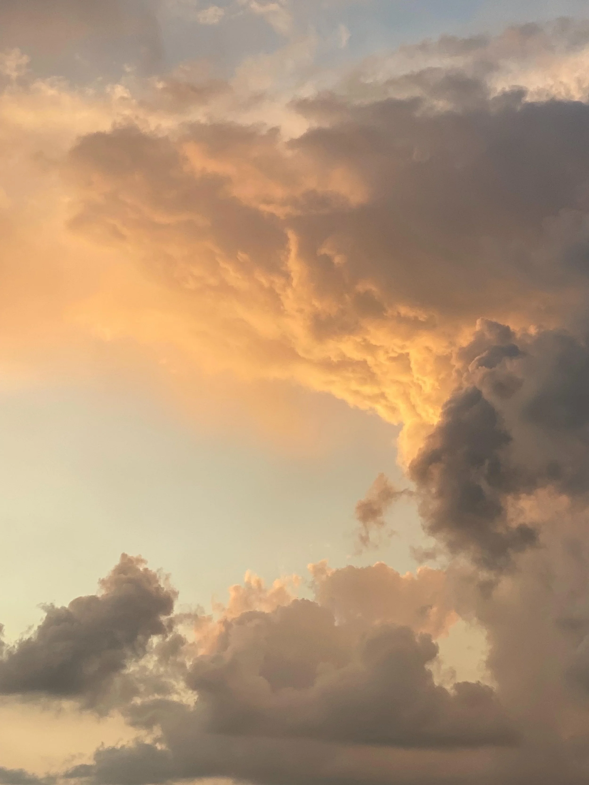 Summer sky when the rain finally stops. #sunset #summersky #pinkclouds