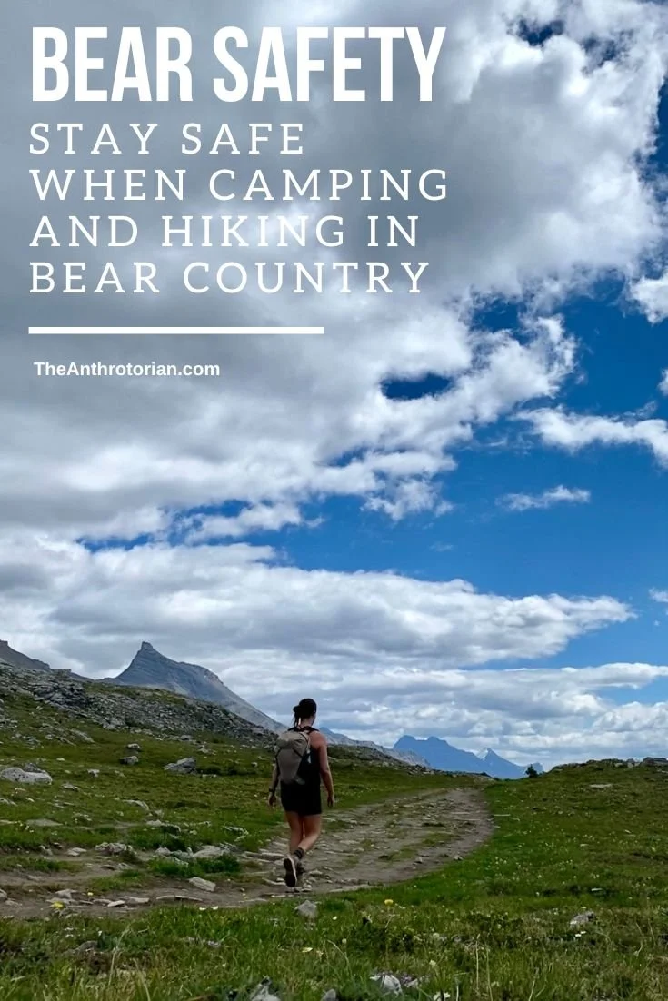 Bear Safety: How to stay safe when camping and hiking in bear country ...