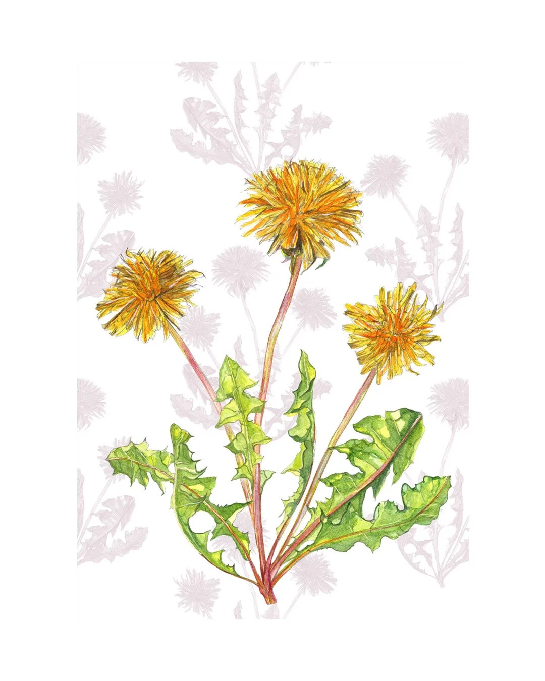 RReynolds_Dandelions Giclee image_low.jpg