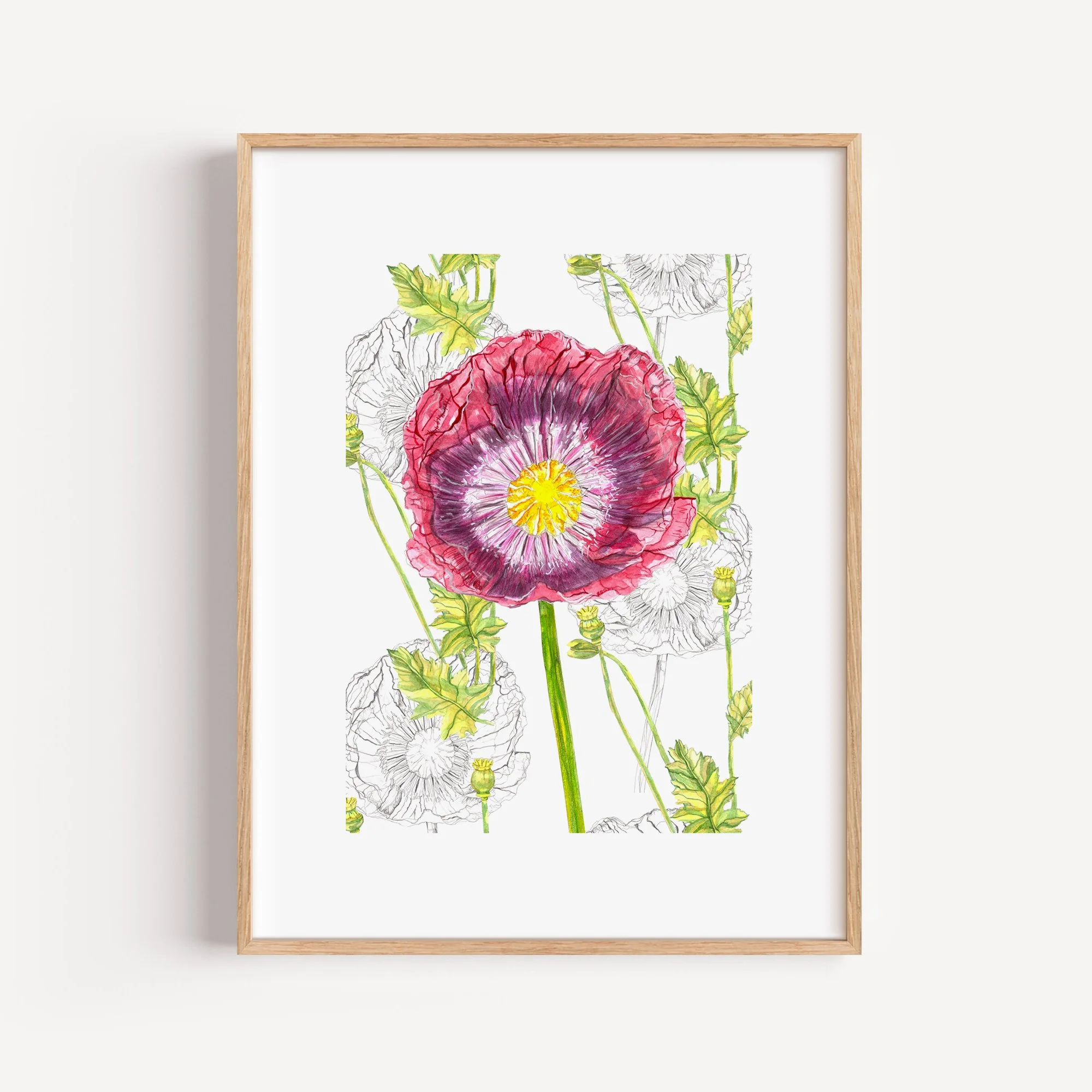 RReynolds_30x40cm Poppy Giclee.jpg