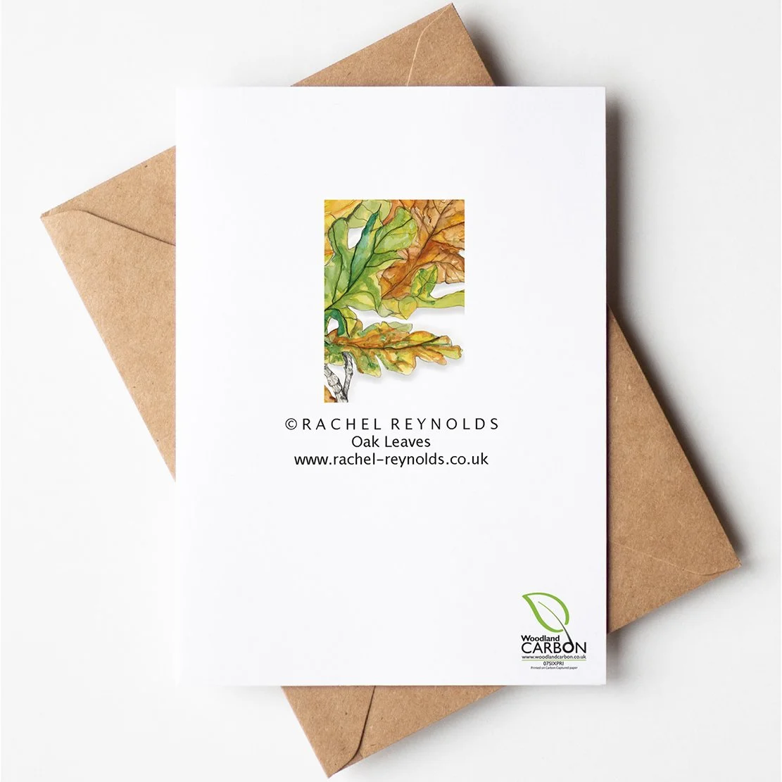 Oak Leaves A6_Backlowres.jpg