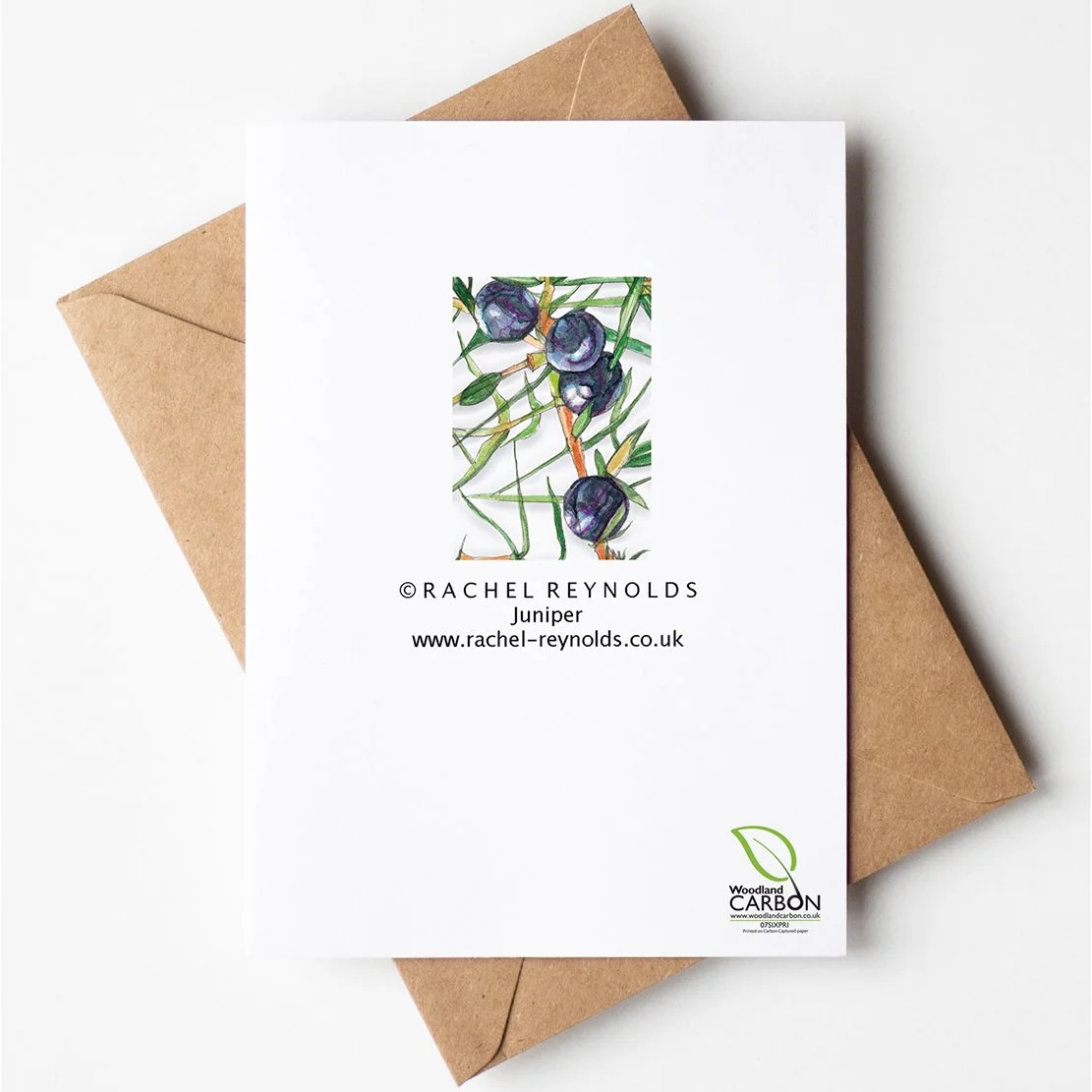 Juniper A6 Card_Backlowres.jpg