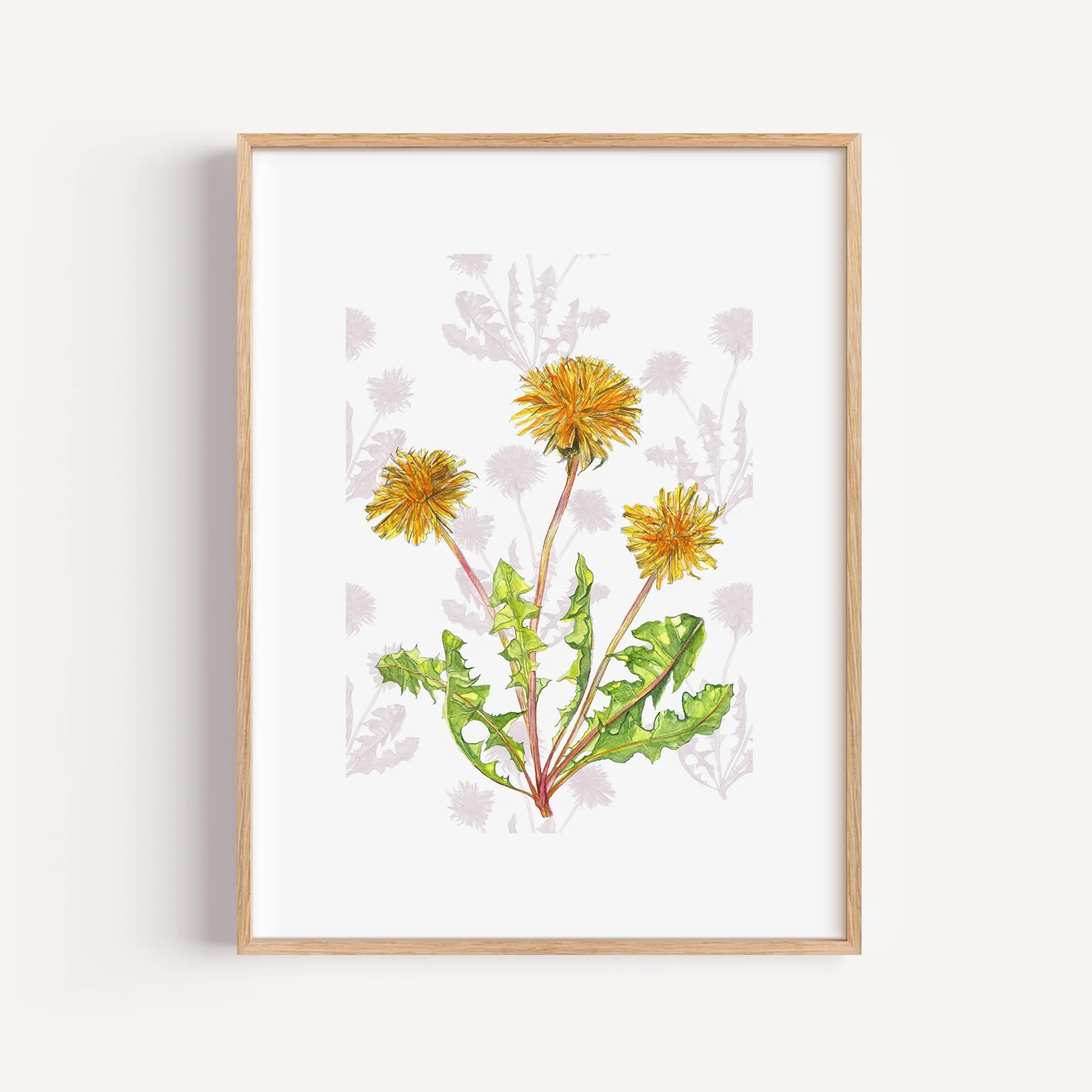 RReynolds_30x40cm Dandelion Giclee.jpg