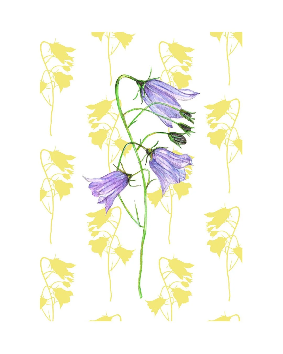 RReynolds_Bluebell Giclee image_low.jpg