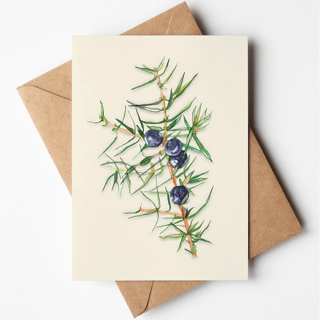 Juniper A6 Card_lowres.jpg