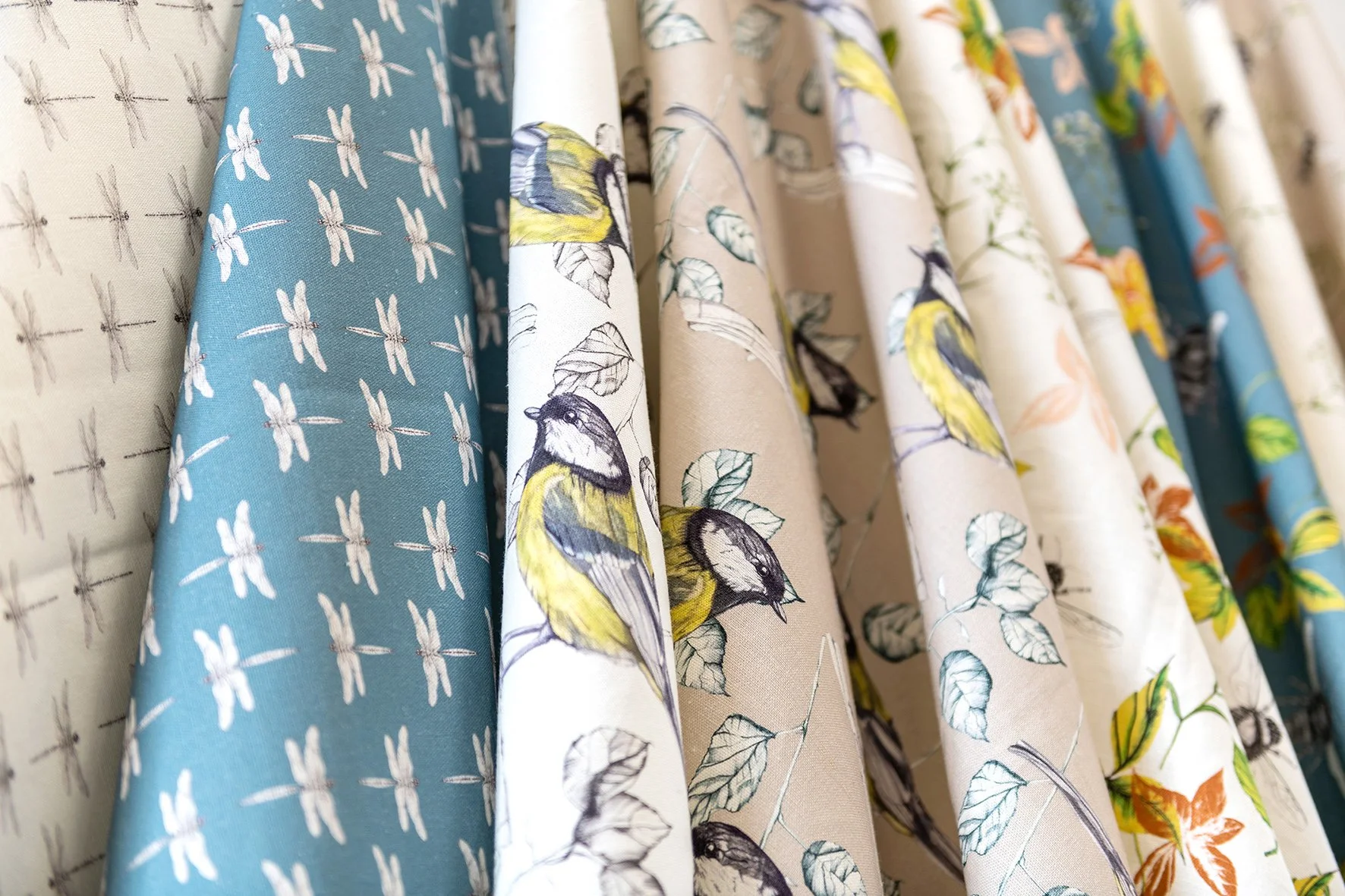 Rachel Reynolds FloraandFaunaDetail2_lowres.jpg