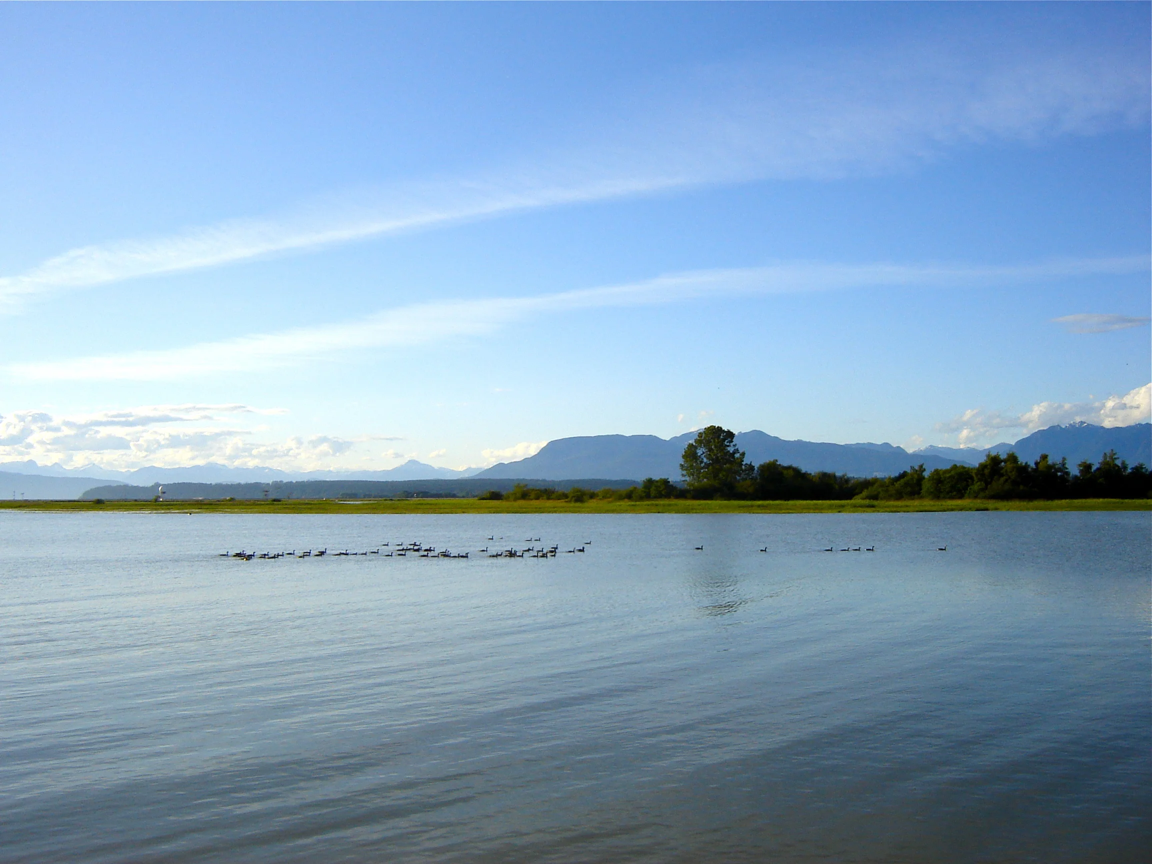 Vancouver shore line.JPG
