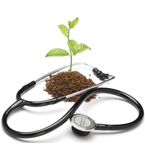 naturopathic medicine.jpg