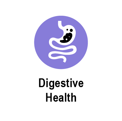 digestion.png
