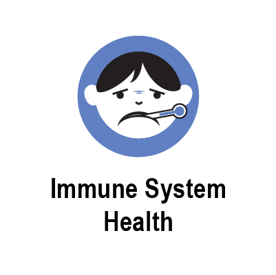 immune system.png