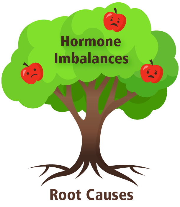 HormoneTree_610.png