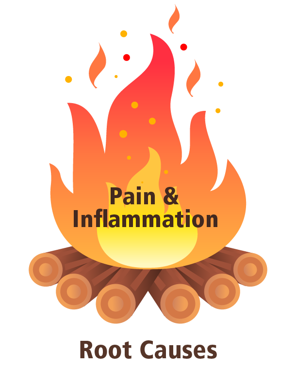 PainFire_610.png