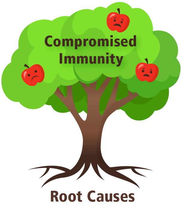 ImmunityTree_610.png
