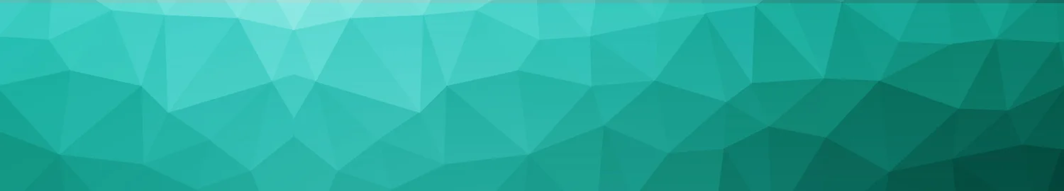 polyvector_2000x360_darker.jpg
