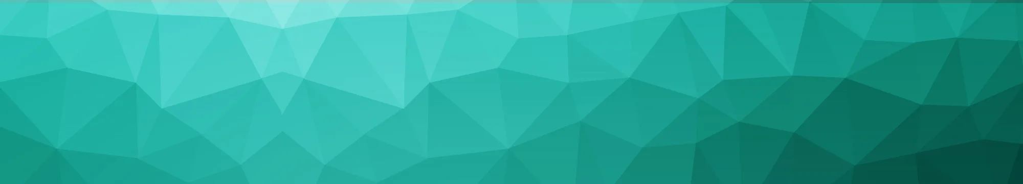 polyvector_2000x360_darker.jpg