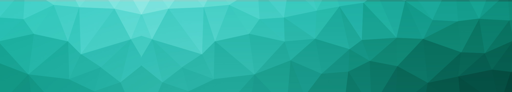 polyvector_2000x360_darker.jpg