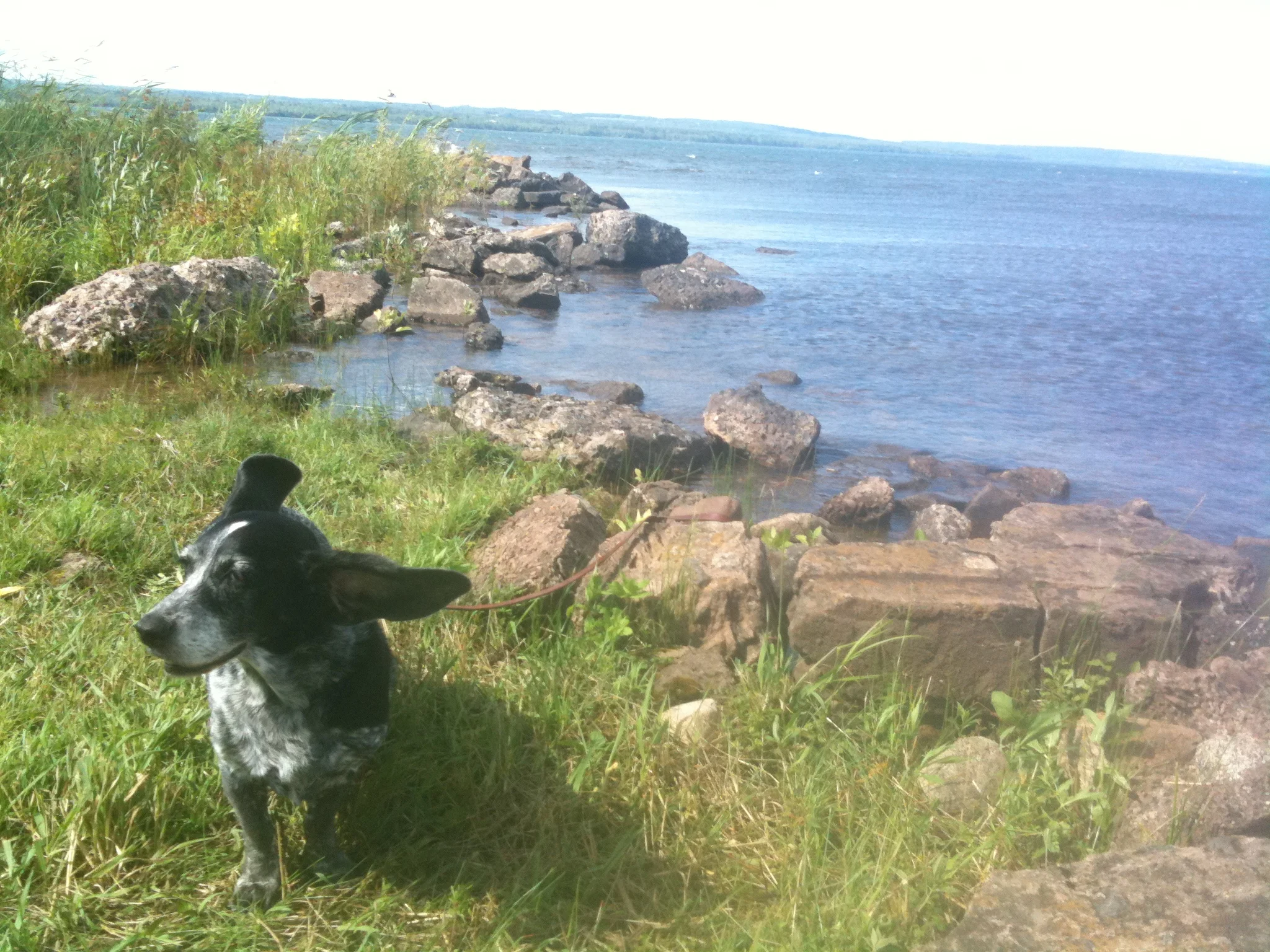 Photo: Rhapsody on the shore of Lake Superior in Michigan's Upper Peninsula in 2009.