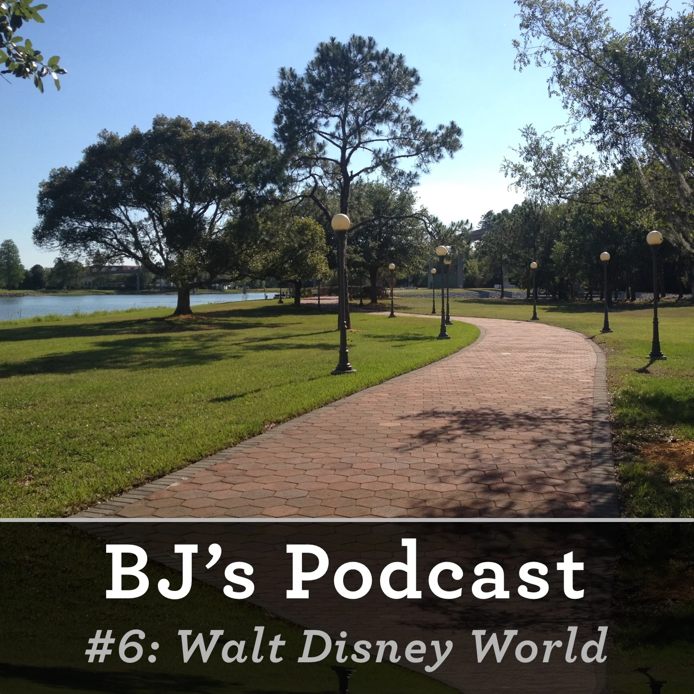 6 - Walt Disney World.jpg