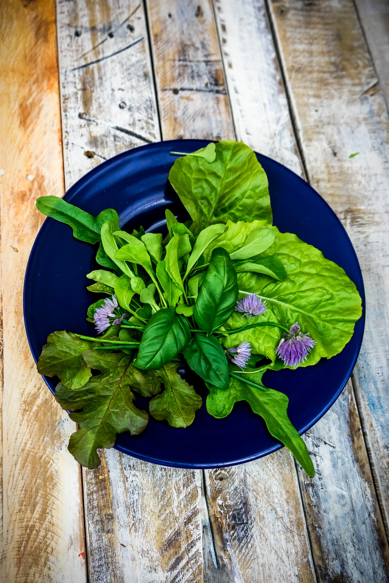 fresh garden salad
