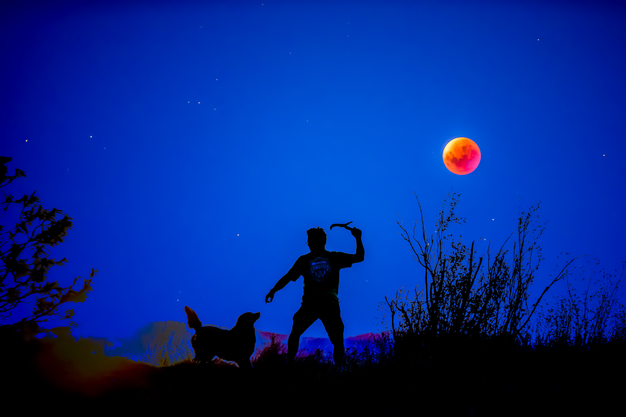  Man, Dog, Stick and the Super Blood Moon 2015 