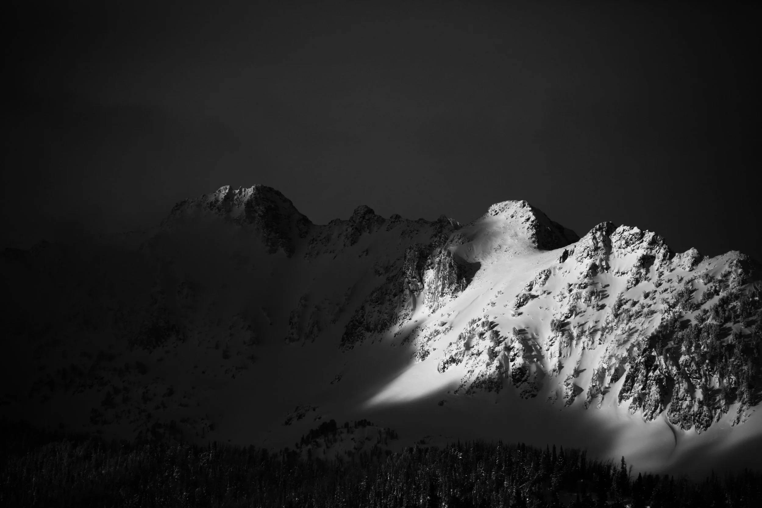 Photo by Patrick Hendry on Unsplash