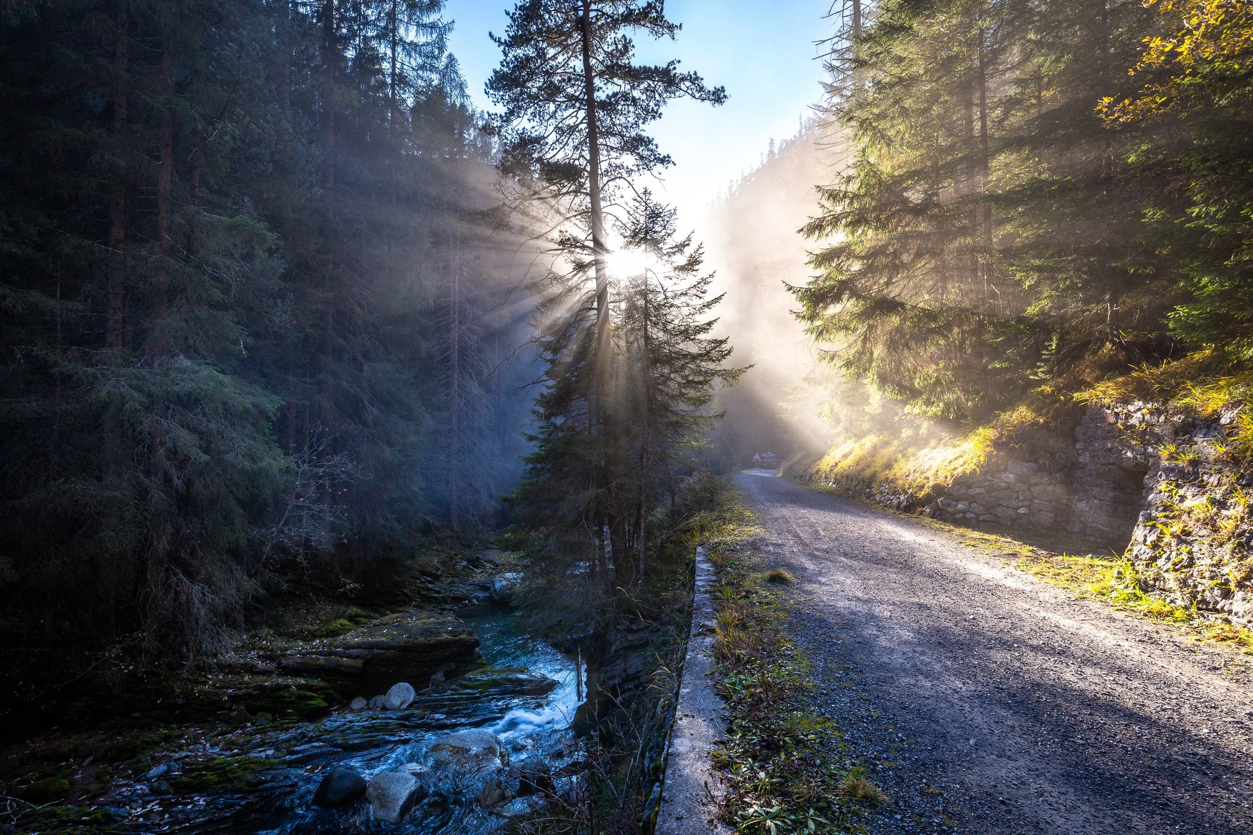 Photo by Damian Markutt on Unsplash