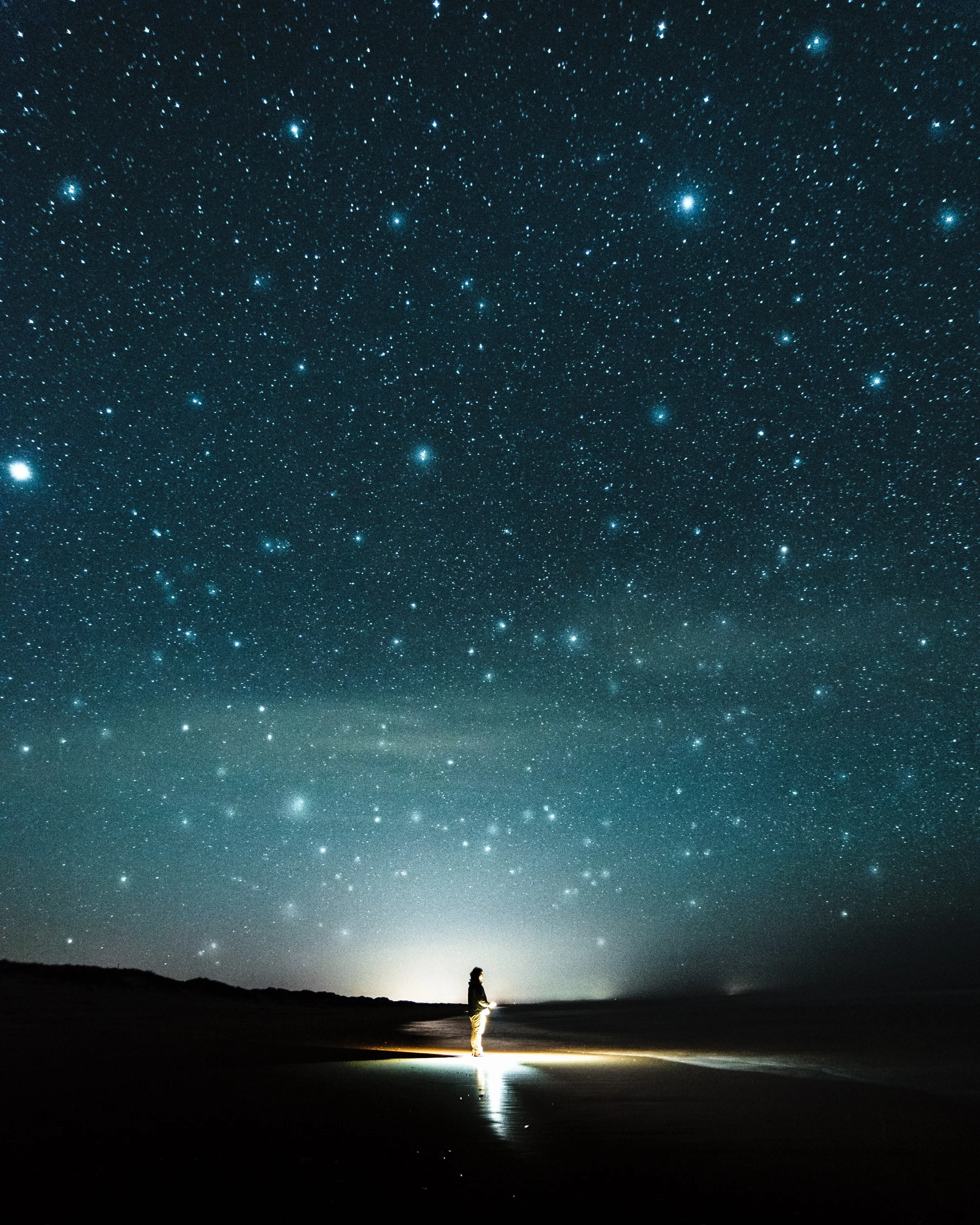 Photo by Eidy Bambang-Sunaryo on Unsplash