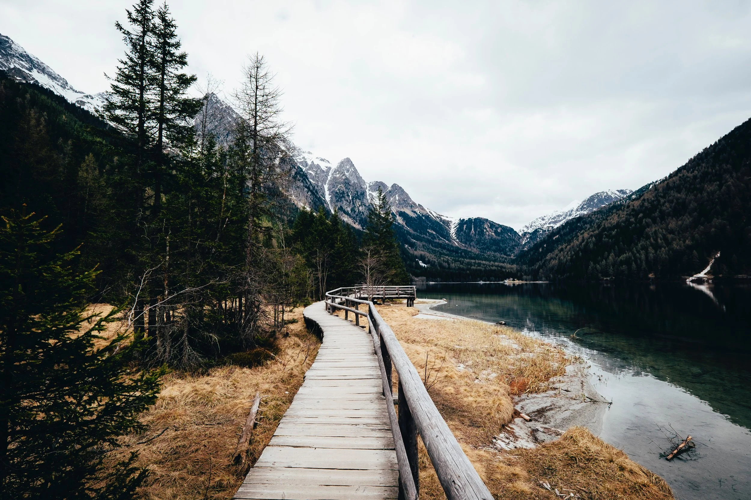Photo by Fabian Irsara on Unsplash