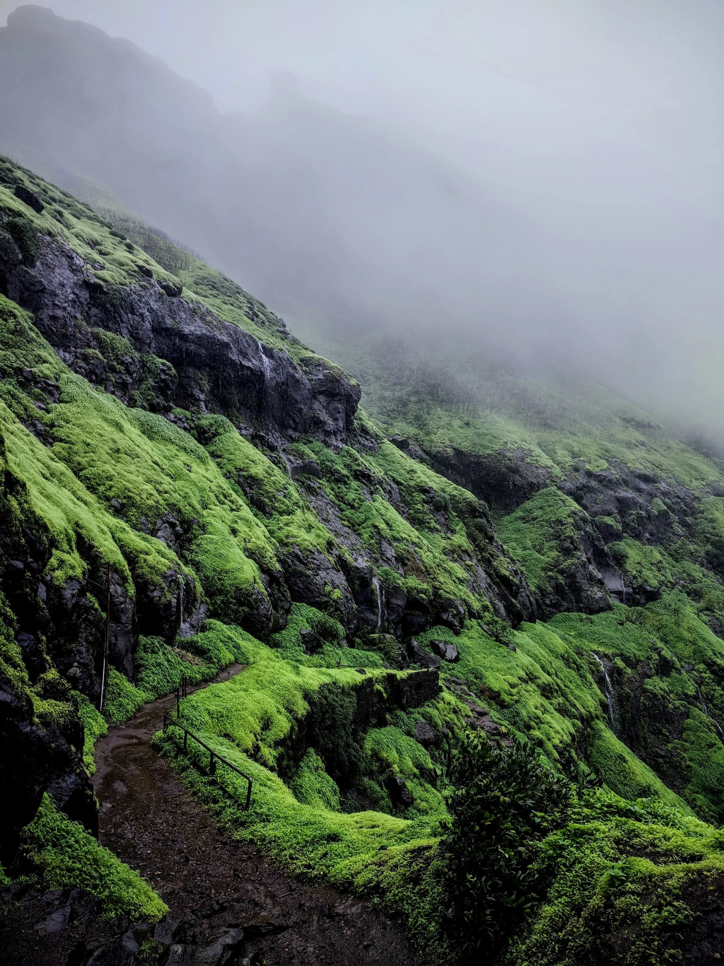 Photo by Parag Sharma on Unsplash