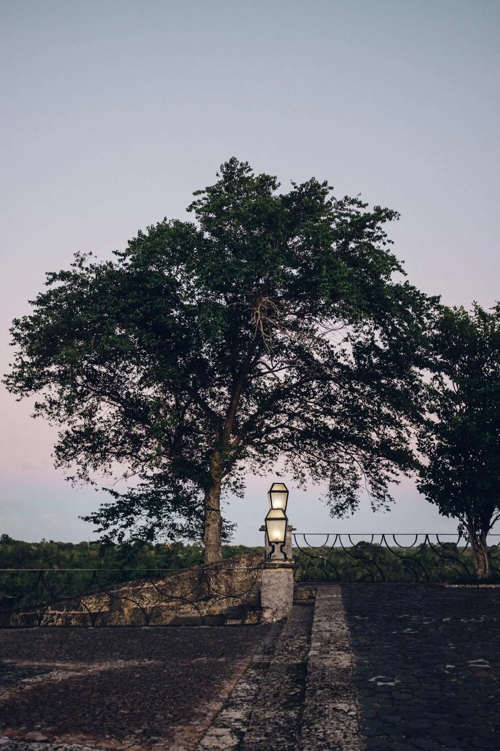Boda_Fotografo_AlfredoEsteban_J+L-76.jpg