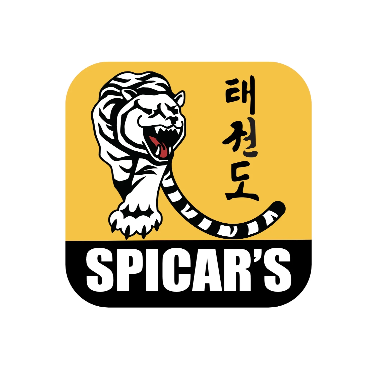 spicars-martial-arts-app.jpg