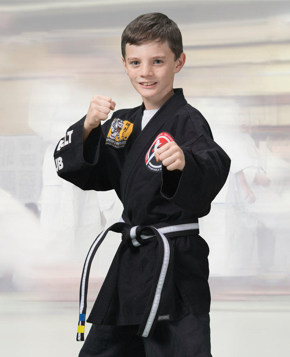 Belts karate vs taekwondo Tae Kwon
