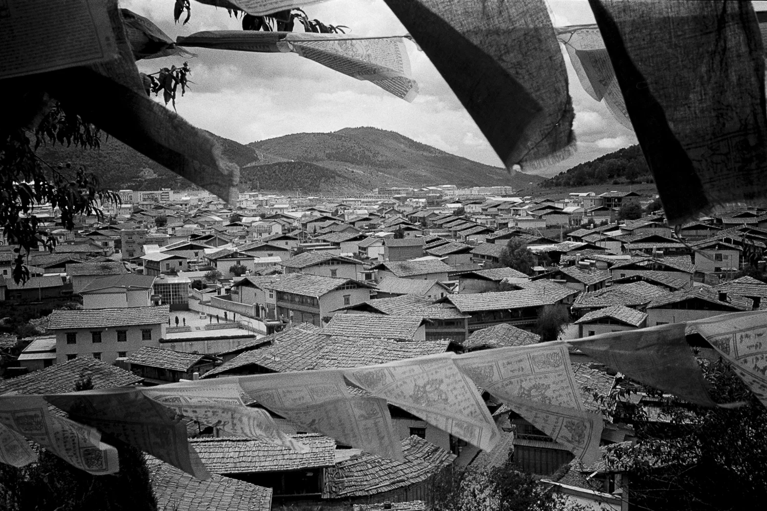 Day 4 I've been meaning to revisit the images from the trip I made in 2011 to Shangri-La, an ancient Tibetan village in Yunnan province, China... especially after I heard the devastating news earlier this year that the entire historical site was wiped out by a massive fire and the village is now no more. Here's the story: http://www.pri.org/…/shangri-la-no-more-after-massive-fire-… I write this post with great fondness and sadness. I found myself in Yunnan f or two weeks in 2011, a spur of the moment kind of decision during one of the most painful times of my life. During this journey, I met a dear new friend Laurens with whom I did some of the most unforgettable hiking I've ever done, including a trek up an isolated hill overlooking the village of Shangri-La. The woods on this hill was covered entirely with millions upon millions of Tibetan prayer flags, and it's difficult to find words then or even now to describe just how humbling, serene and moving this hike was. I remember whispering to Laurens I'd like to return to this hill someday... but I'd never expect to learn that it would be gone within 3 years. The images from this time is my elegy to the Tibetan hill and village.