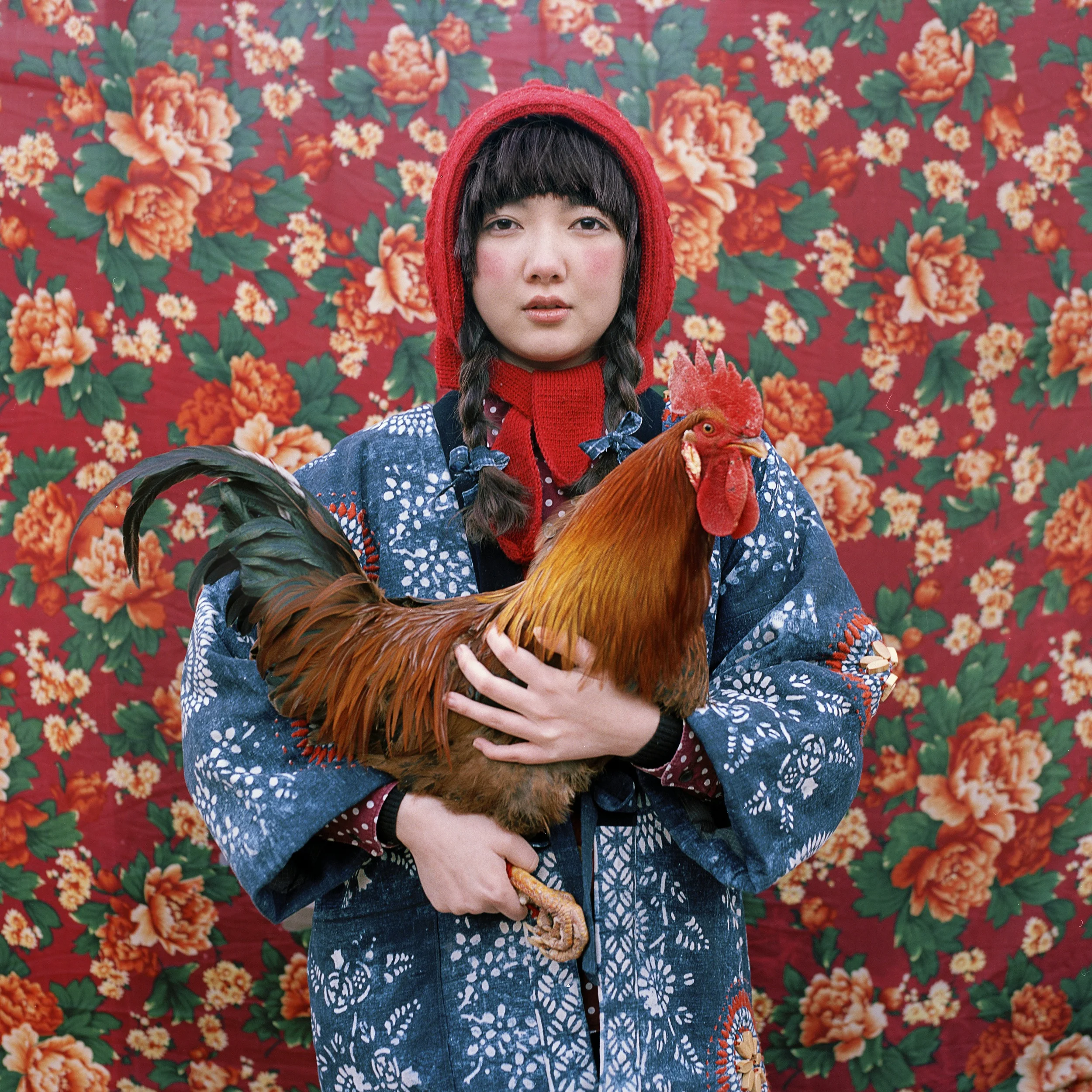 Shuwei Liu, photographer