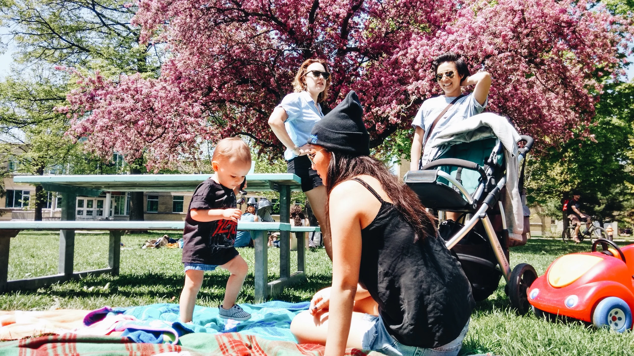 Trinity Bellwoods Park