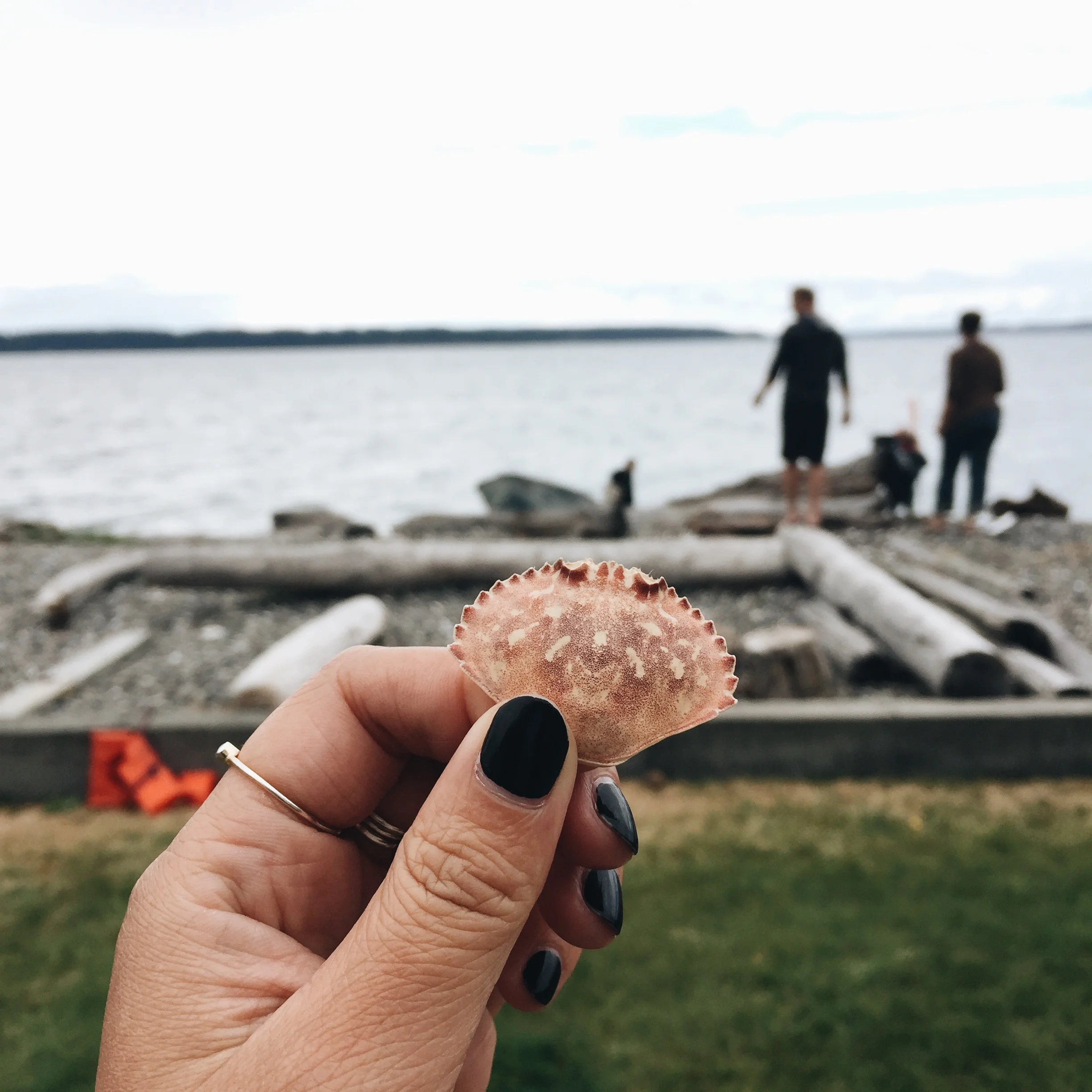 CAMANO ISLAND