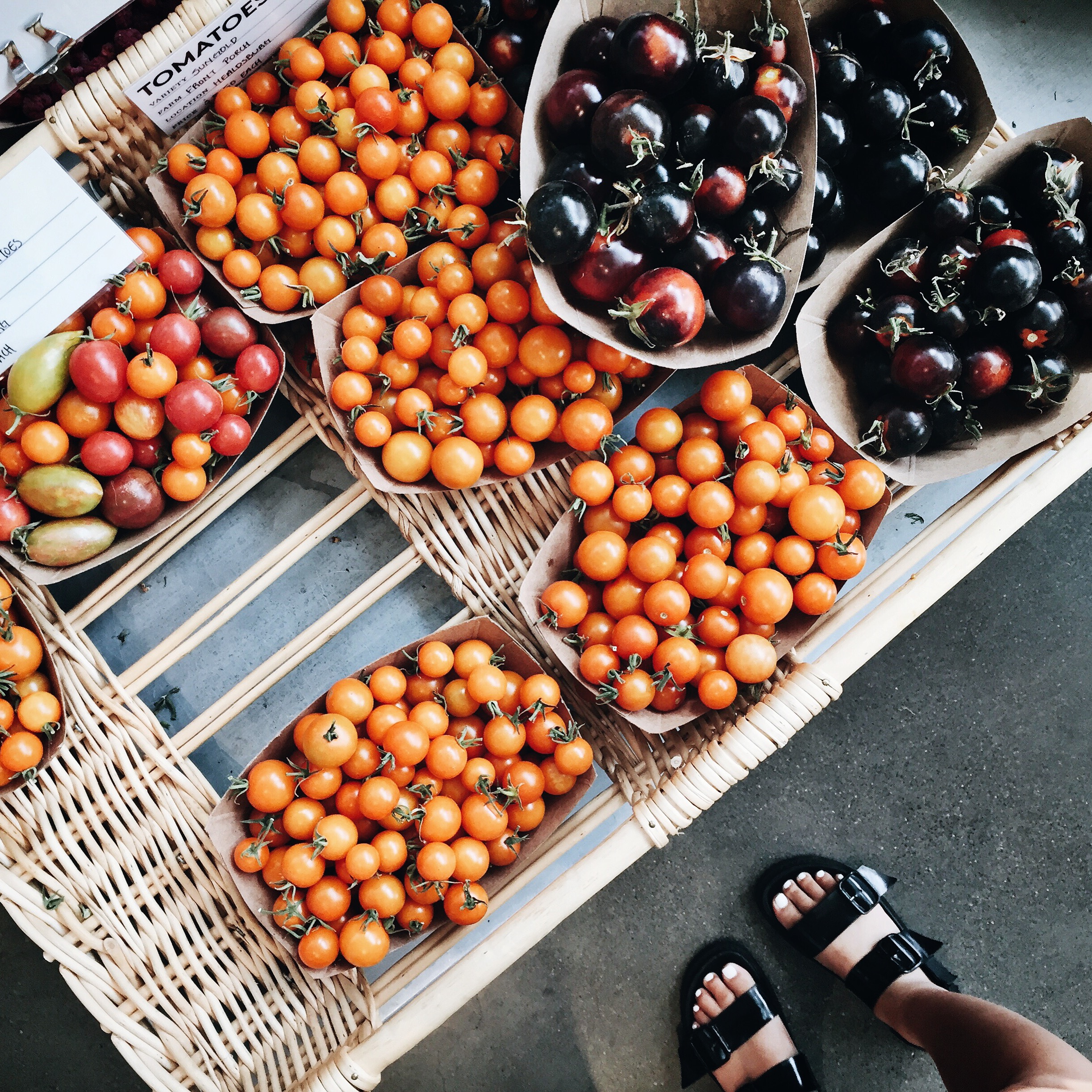 HEALDSBURG SHED