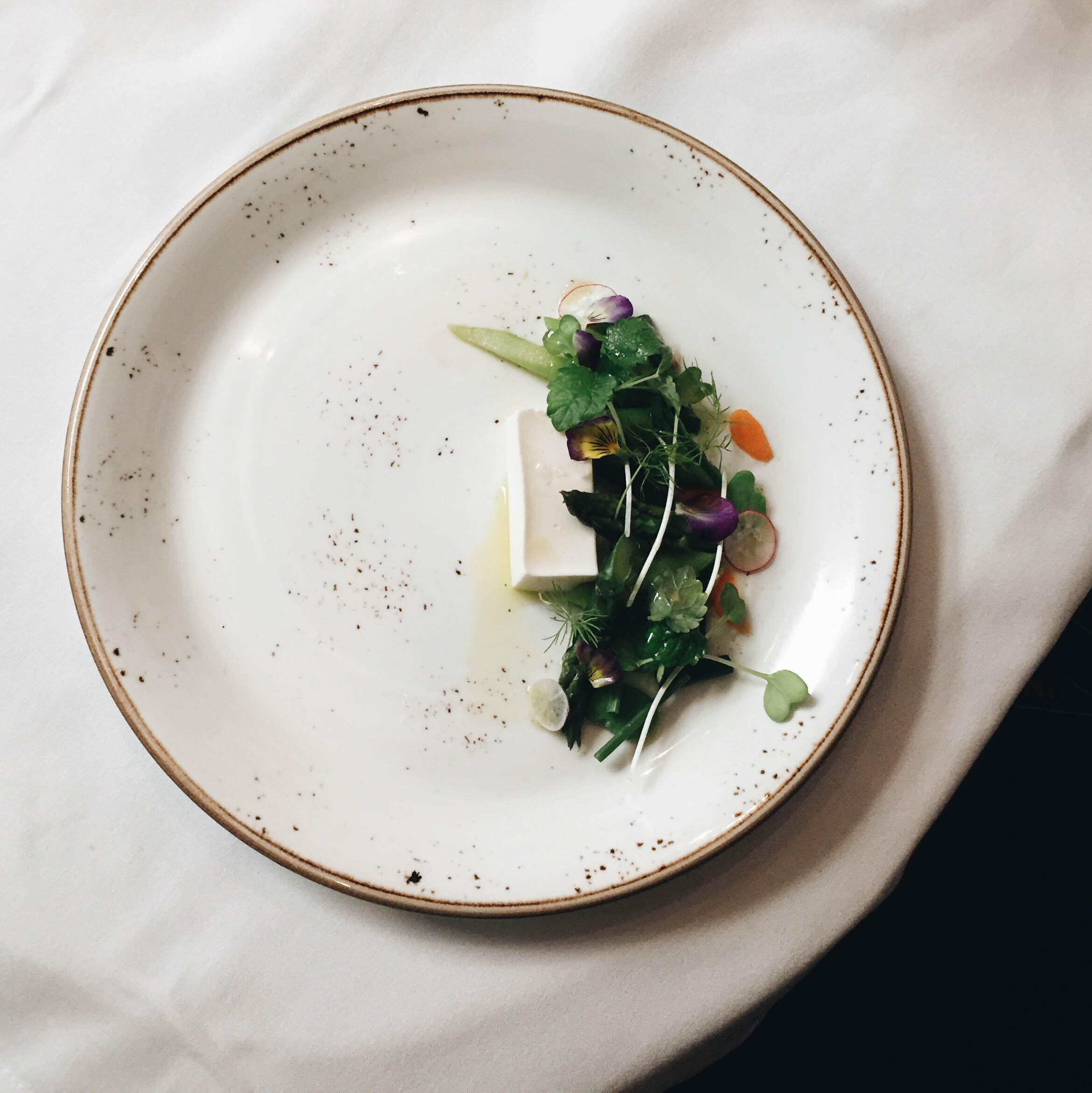GOAT CHEESE PANNA COTTA