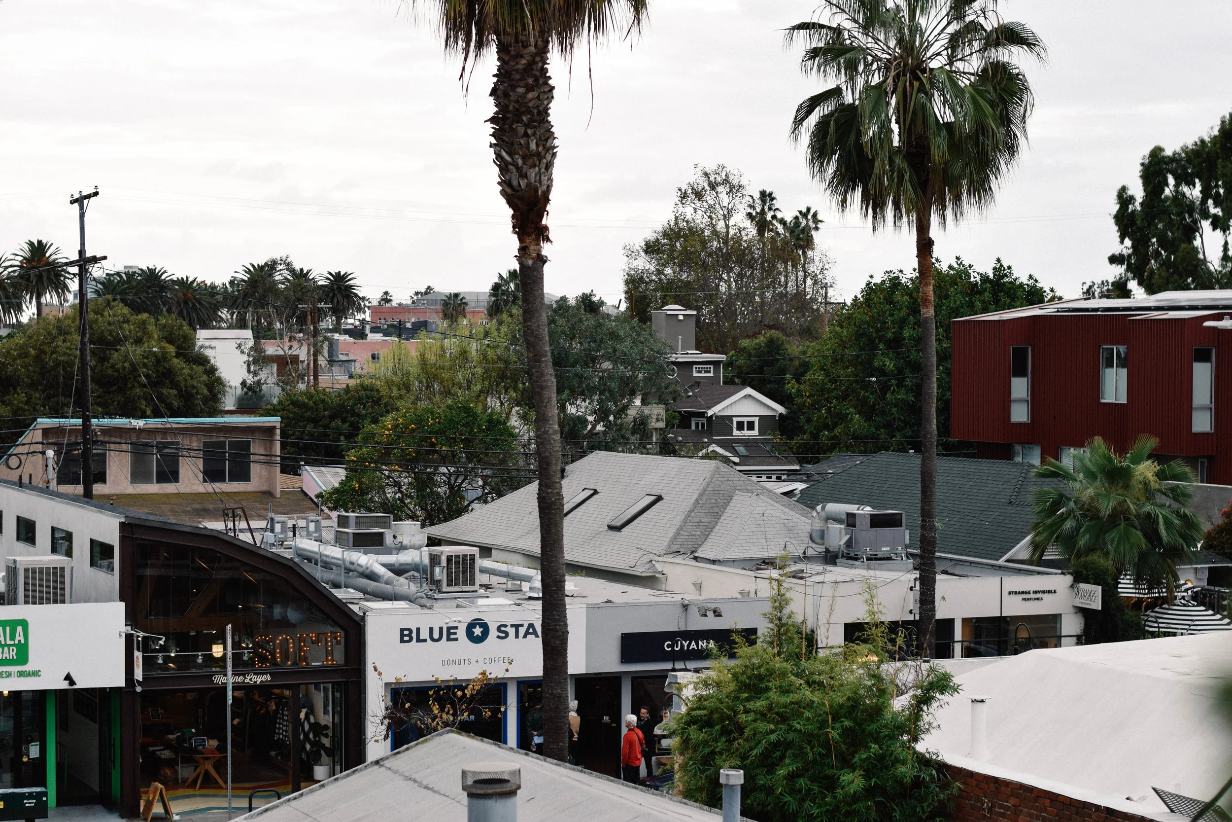 ABBOT KINNEY