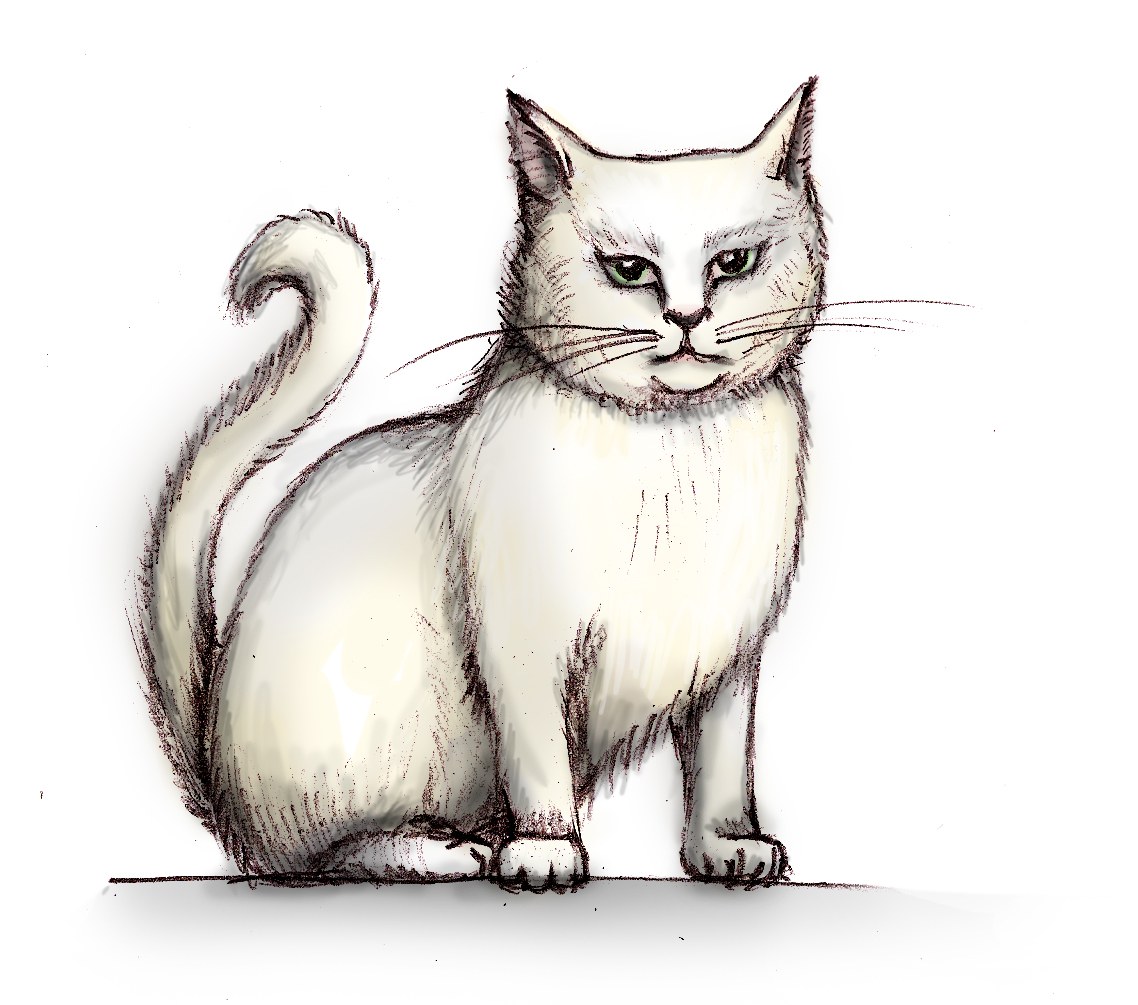 Snowball
