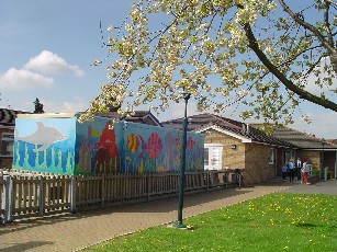 spring common.jpg