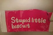 biscuit.jpg