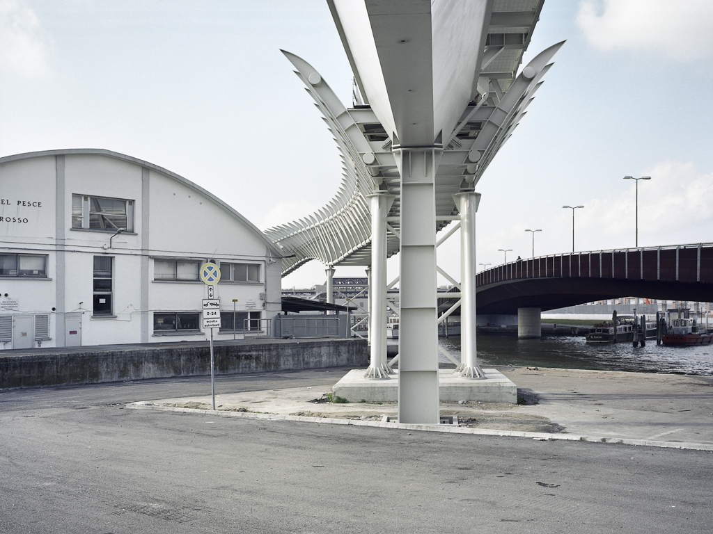 © Gian Giacomo Stiffoni, all rights reserved
