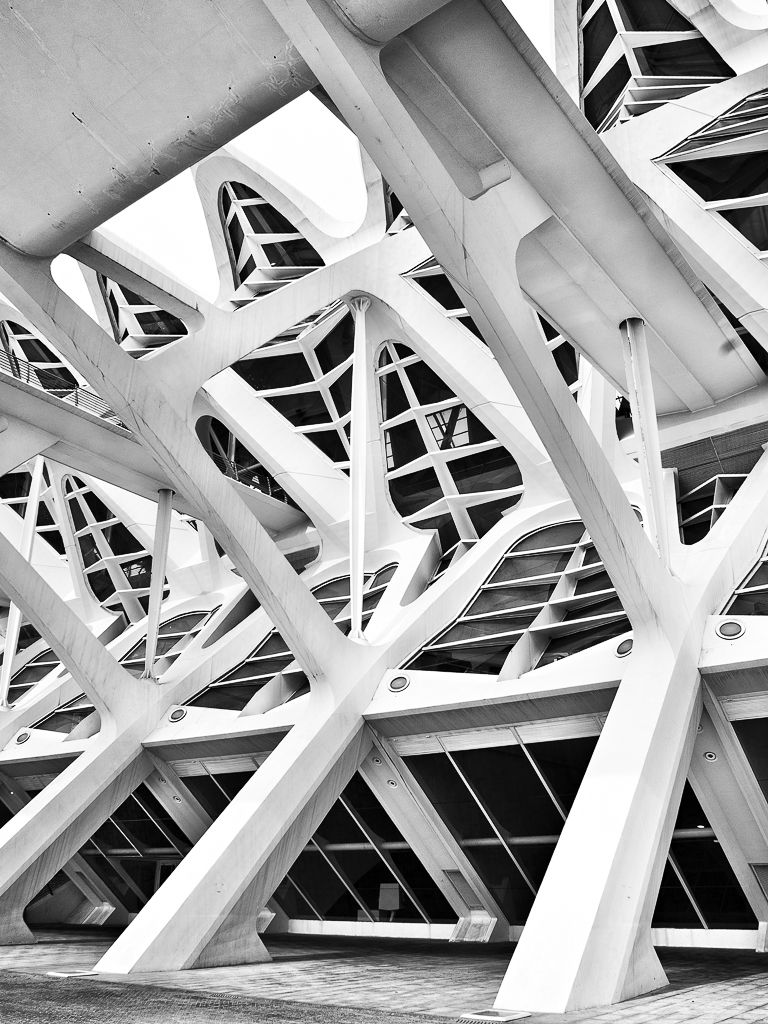 Museo de las Ciencias