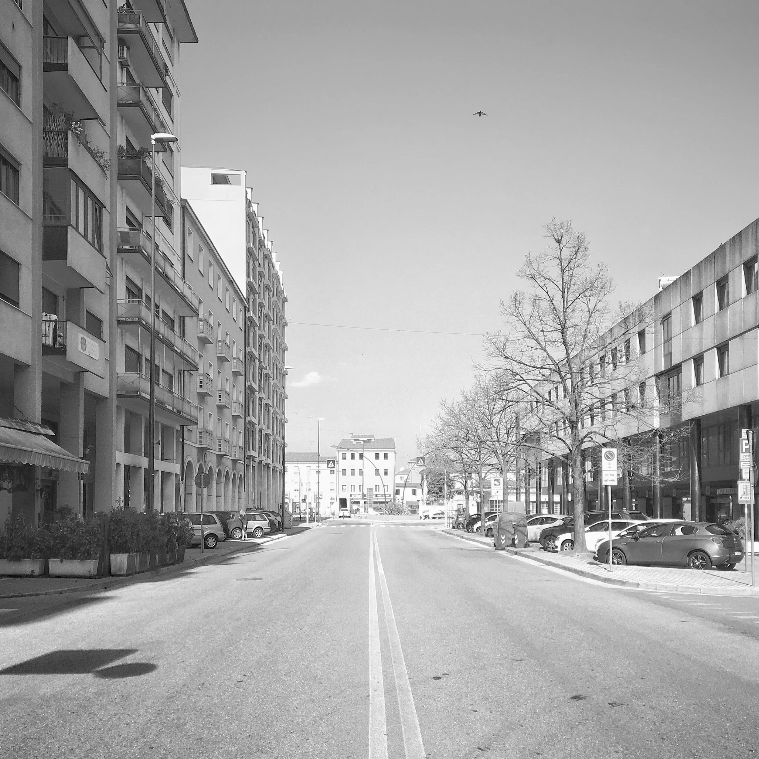 © 2020 Gian Giacomo Stiffoni, all rights reserved