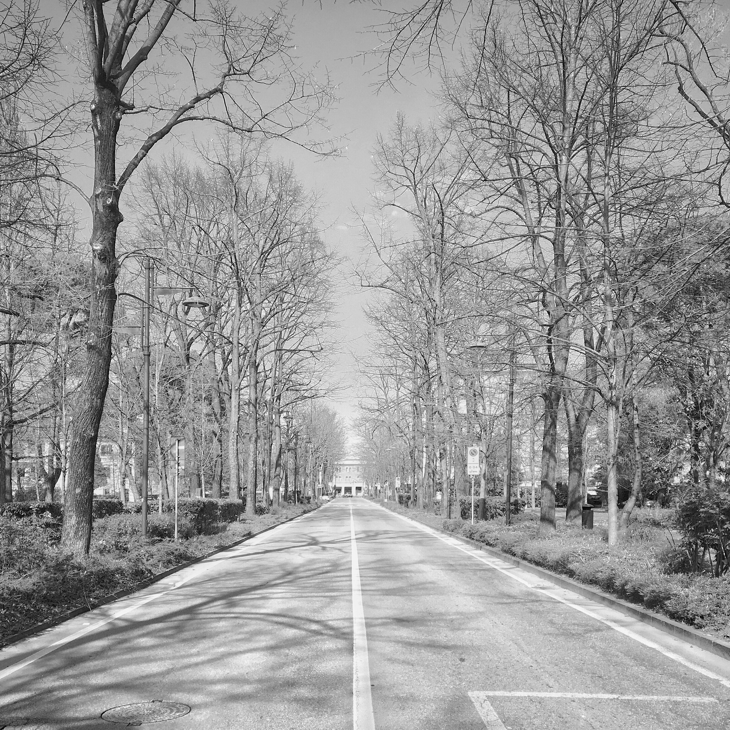 © 2020 Gian Giacomo Stiffoni, all rights reserved