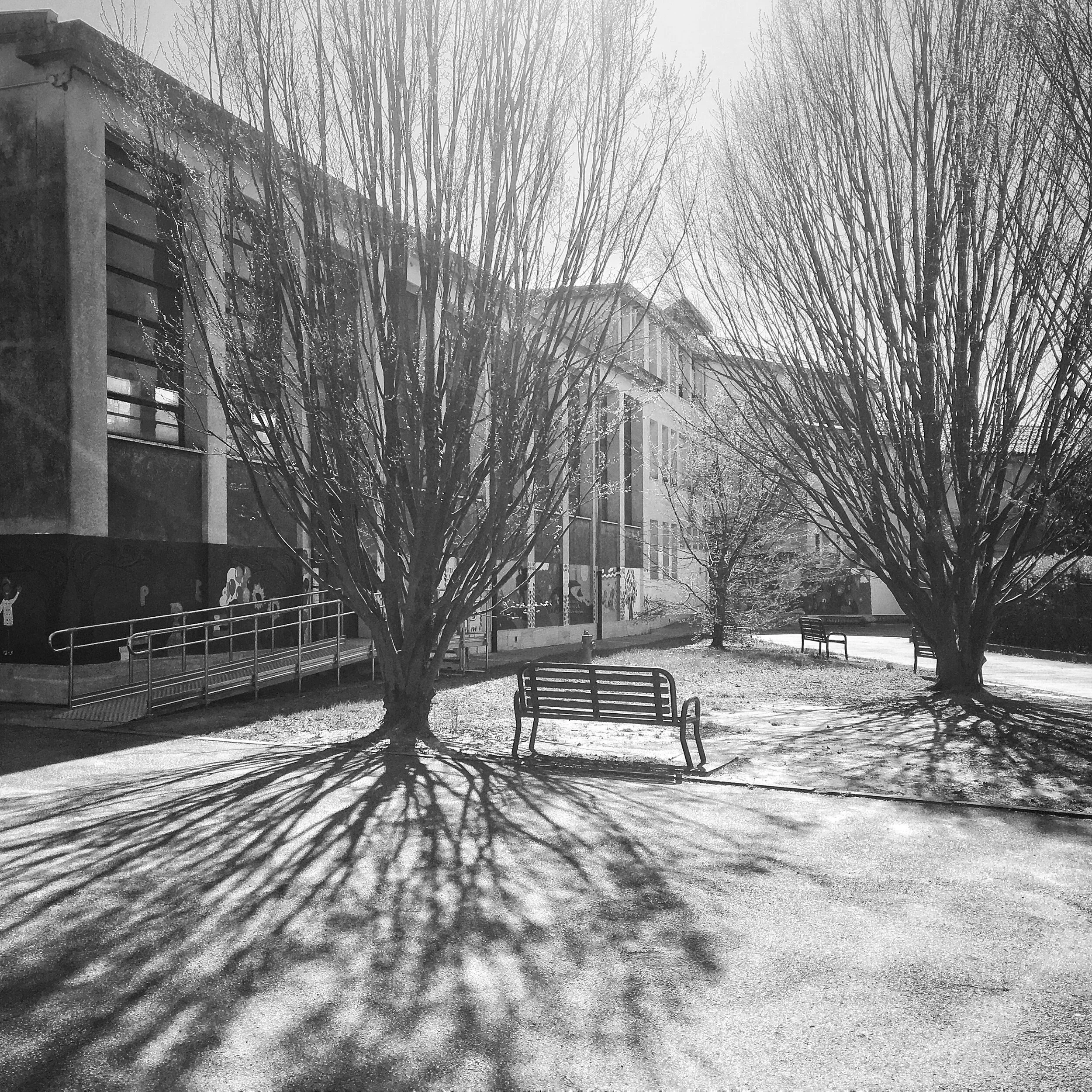 © 2020 Gian Giacomo Stiffoni, all rights reserved