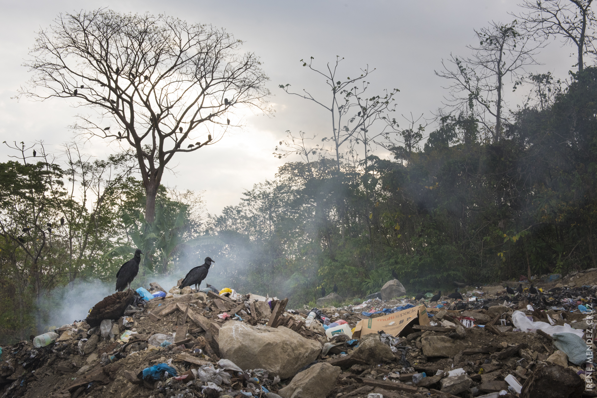PLASTIC APOCALYPSE