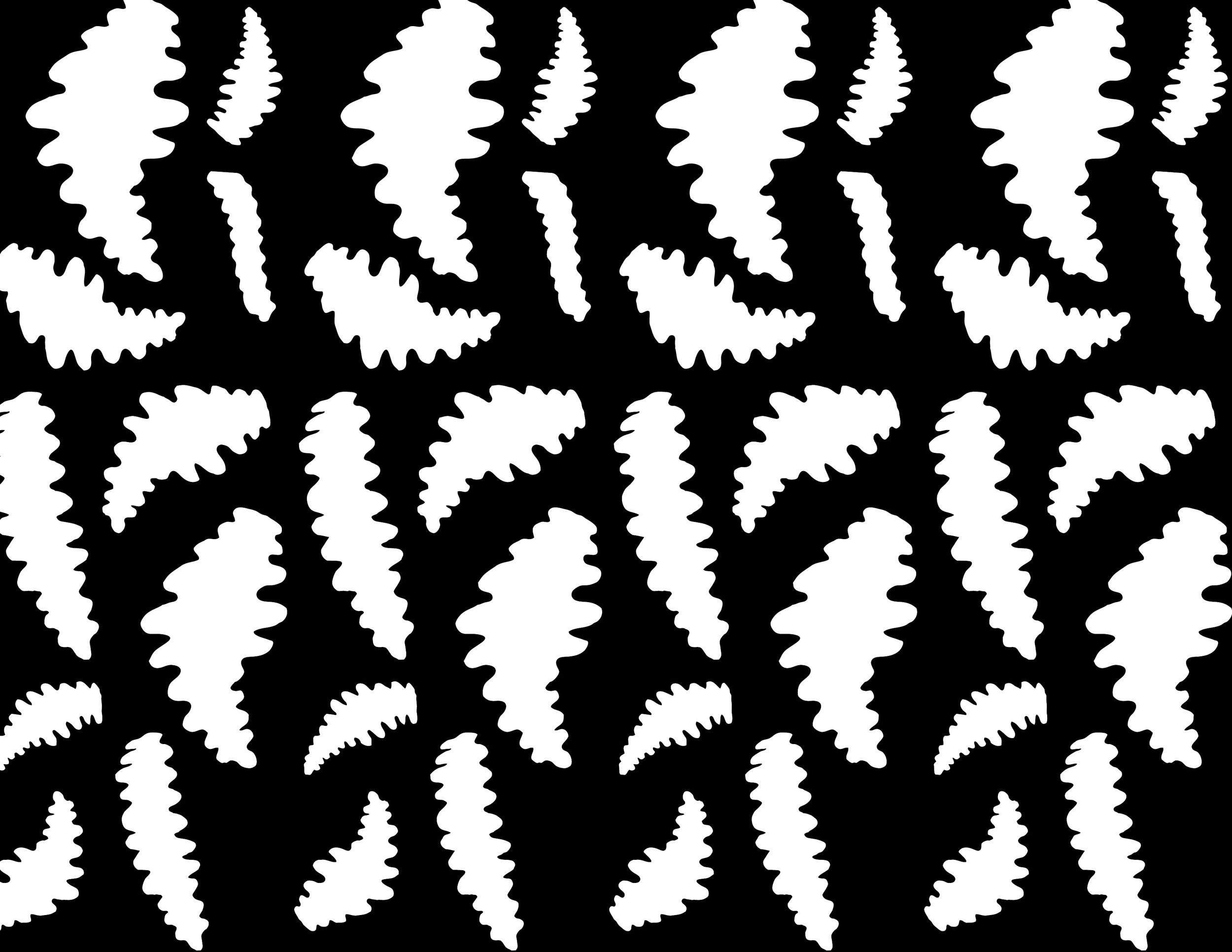   Ferns  