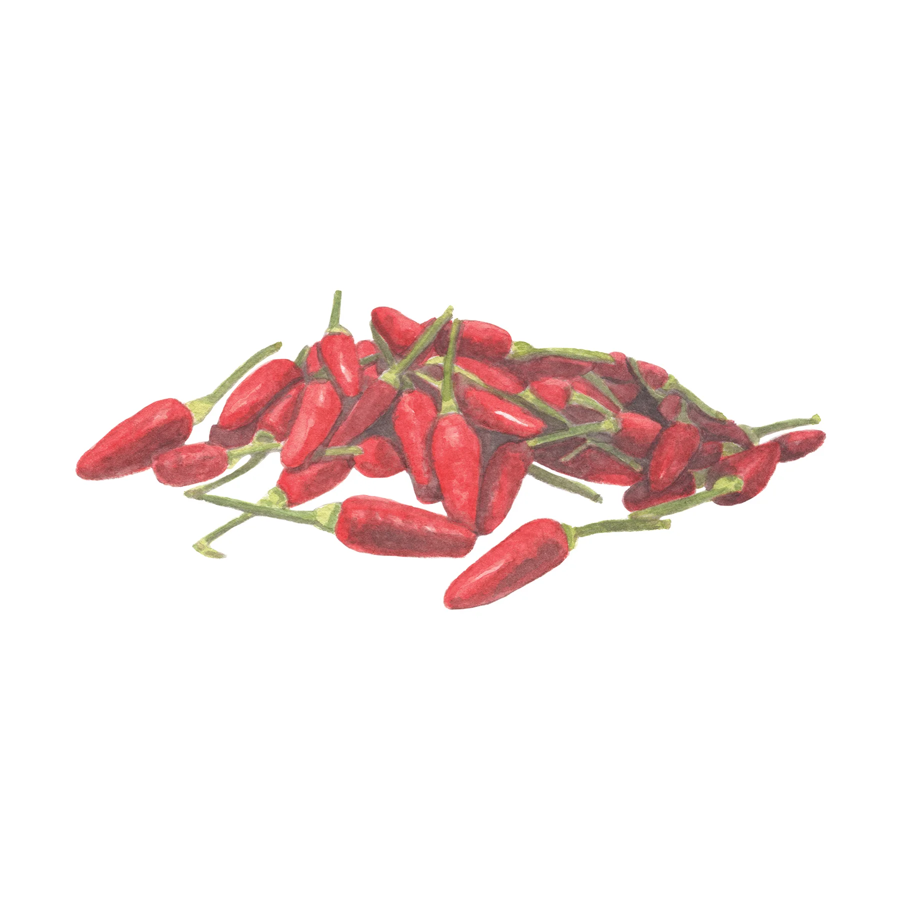 Chili.jpg